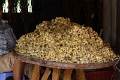 35_ile koh_chong_tissage_017